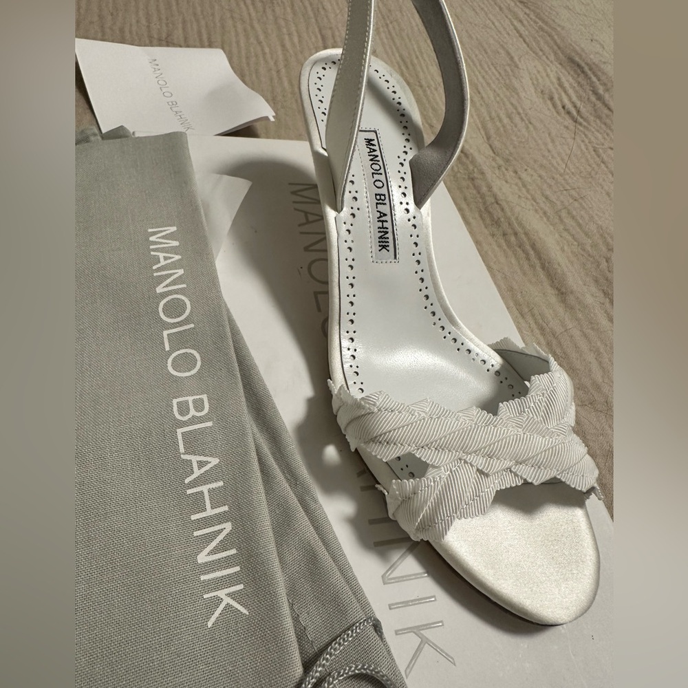 Manolo Blahnik Ligra Kitten heels